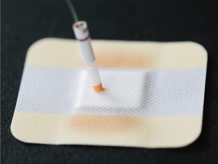 尼古丁贴片透皮吸收测试