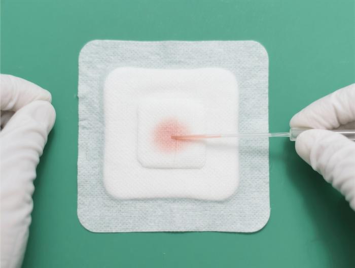 藻酸盐止血敷料透皮吸收测试